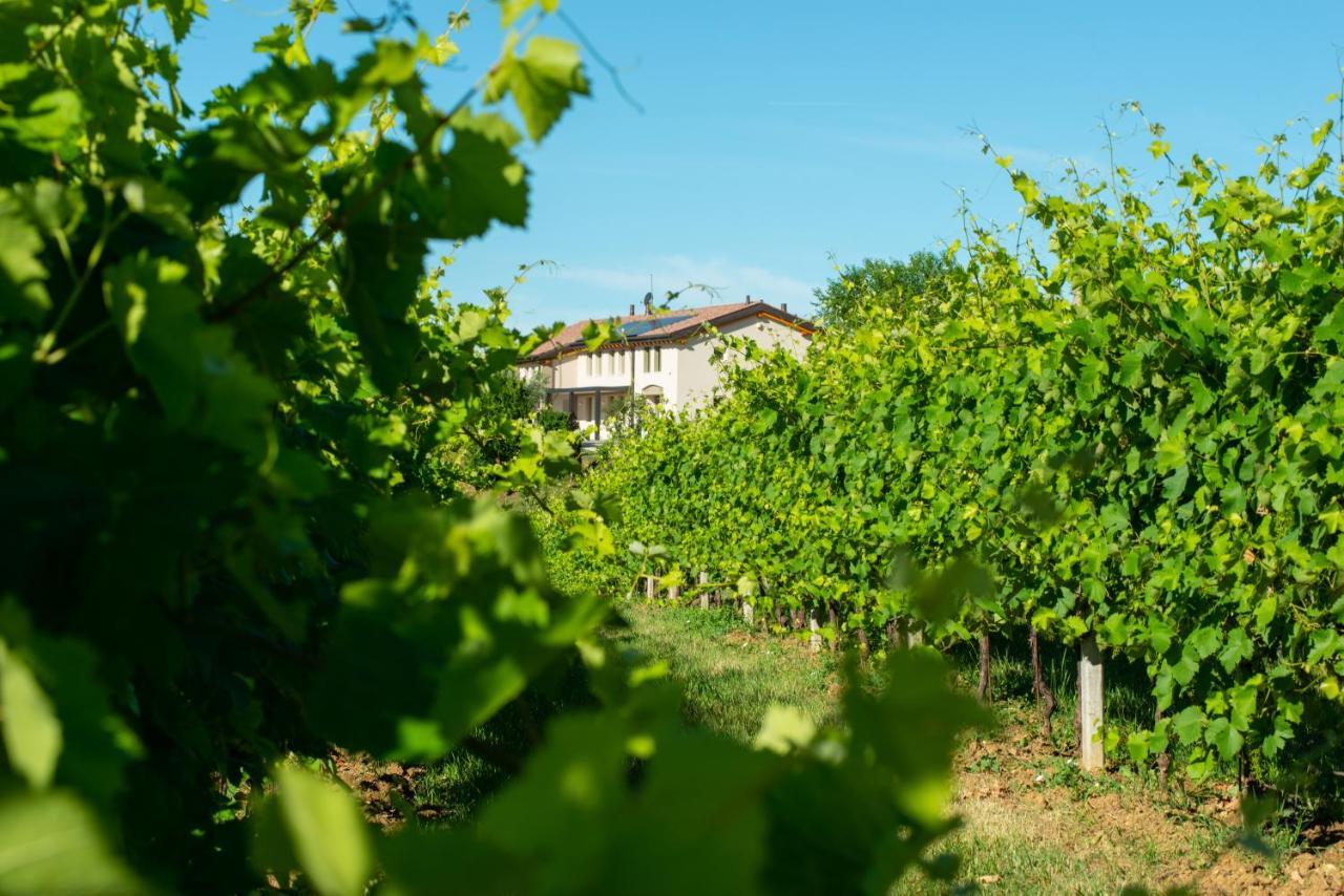 Relais La Dolce Vite Villa San Vendemiano Buitenkant foto